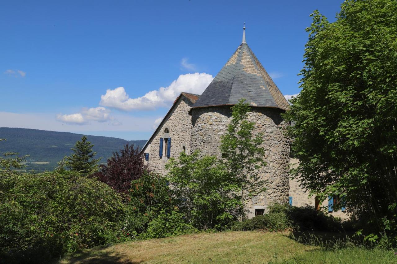 Chateau De Sothonod Buitenkant foto