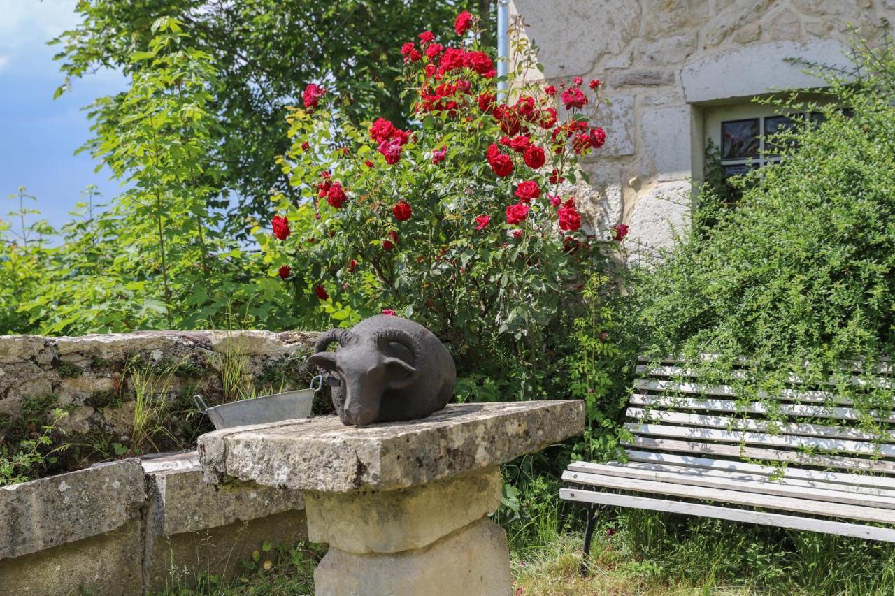 Chateau De Sothonod Buitenkant foto