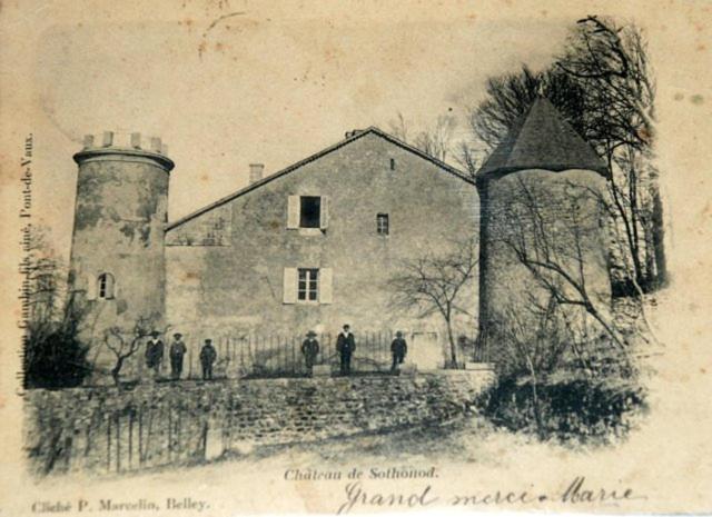 Chateau De Sothonod Buitenkant foto